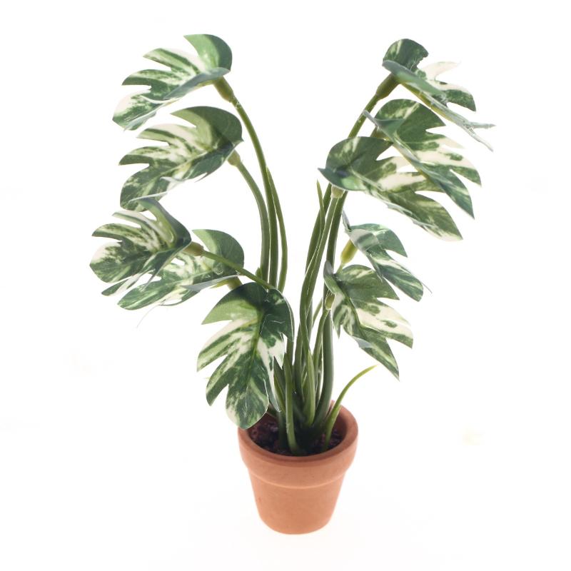 New.1PC 1/12 Poppenhuis Simula - Pothos recensie en prijs