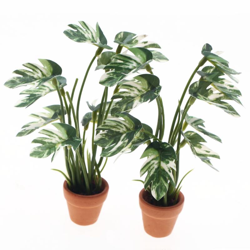 New.1PC 1/12 Poppenhuis Simula - Pothos recensie en prijs