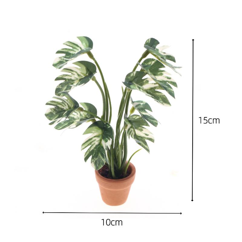 New.1PC 1/12 Poppenhuis Simula - Pothos recensie en prijs