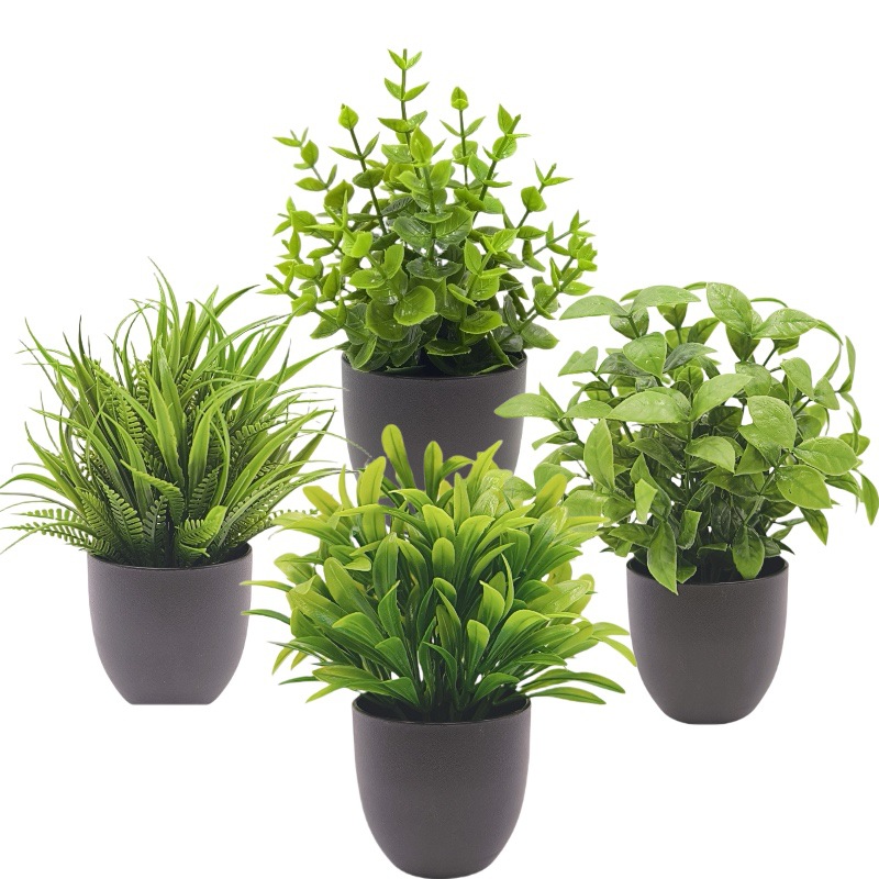 Simulatie Groene Plant Bonsai  - Succulent Set recensie en prijs