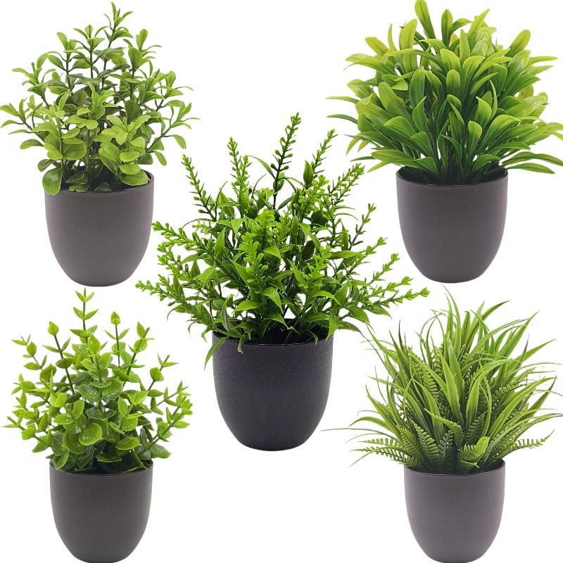 Simulatie Groene Plant Bonsai  - Succulent Set recensie en prijs