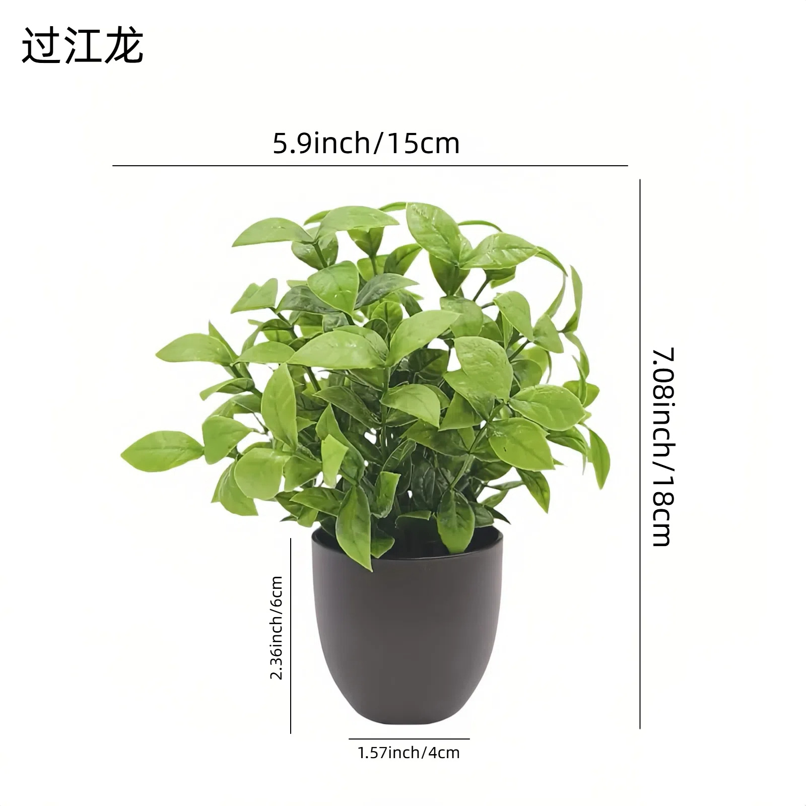 Simulatie Groene Plant Bonsai  - Succulent Set recensie en prijs