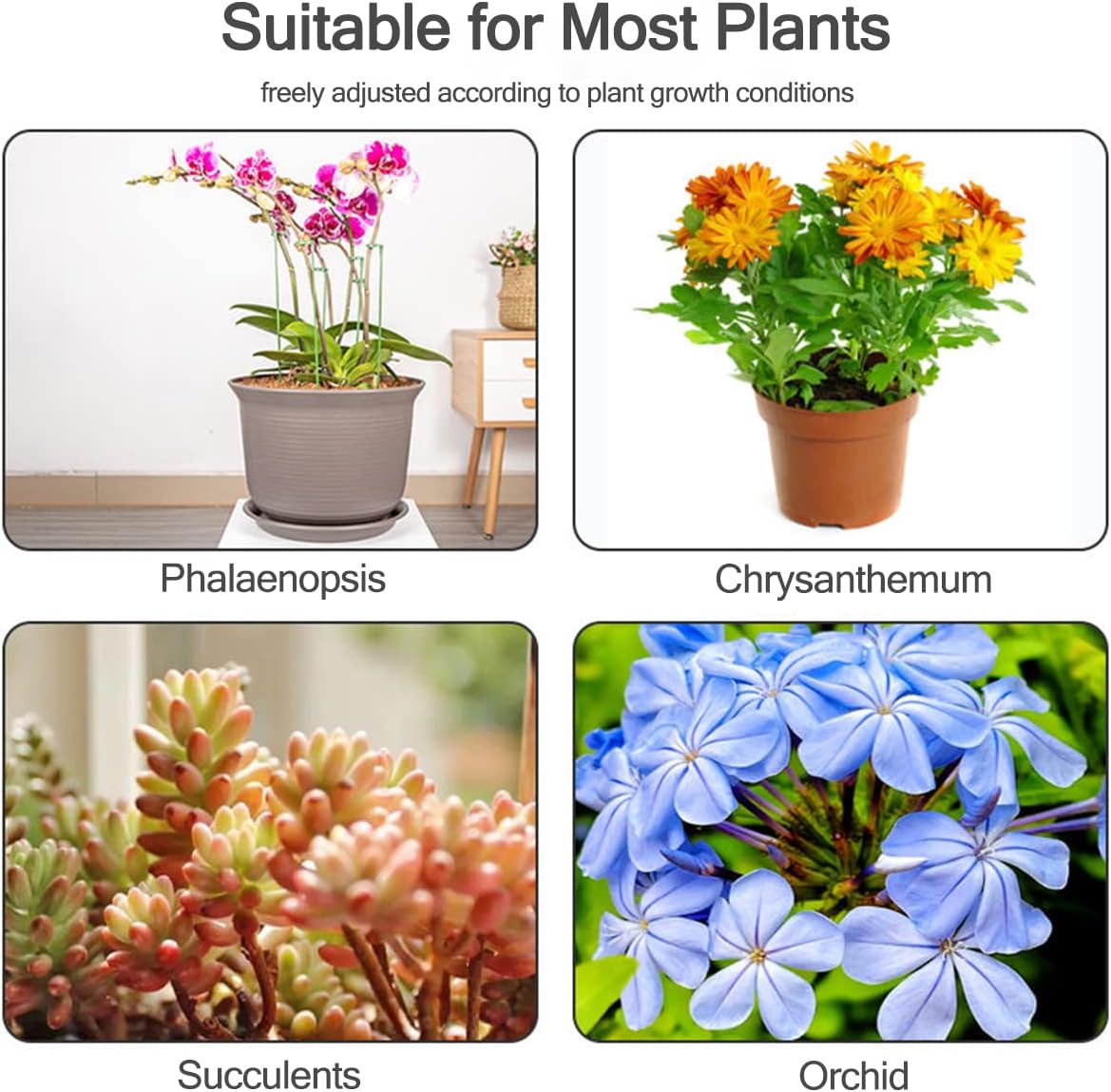 5/10 Stuks Plant Ondersteuning - Plant Support Stake recensie en prijs