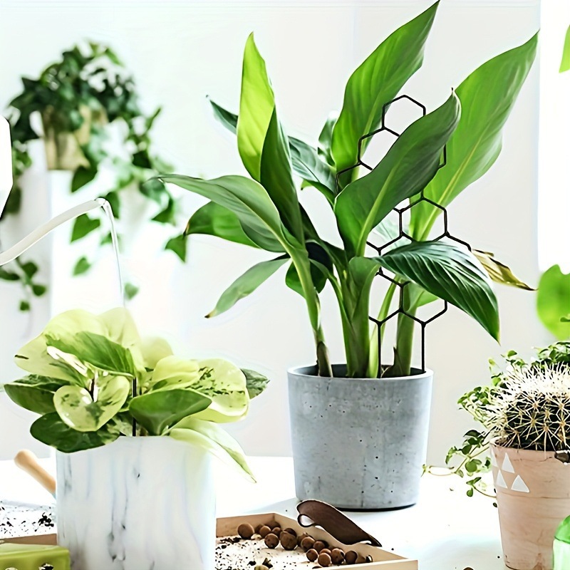 1PC honingraatdesign plantenro - Terracotta Pot recensie en prijs