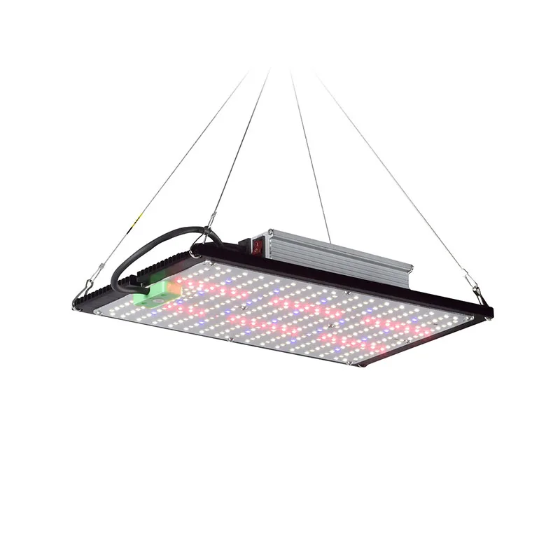 LED Quantum-Board Kweeklamp Vo - Indoor Plants recensie en prijs