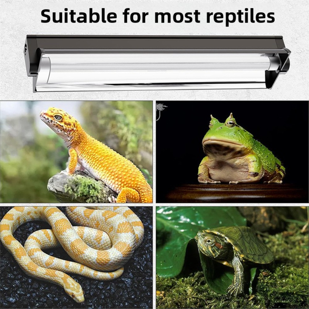 Geplant en Reptiel Terrarium L - Snake Plant recensie en prijs