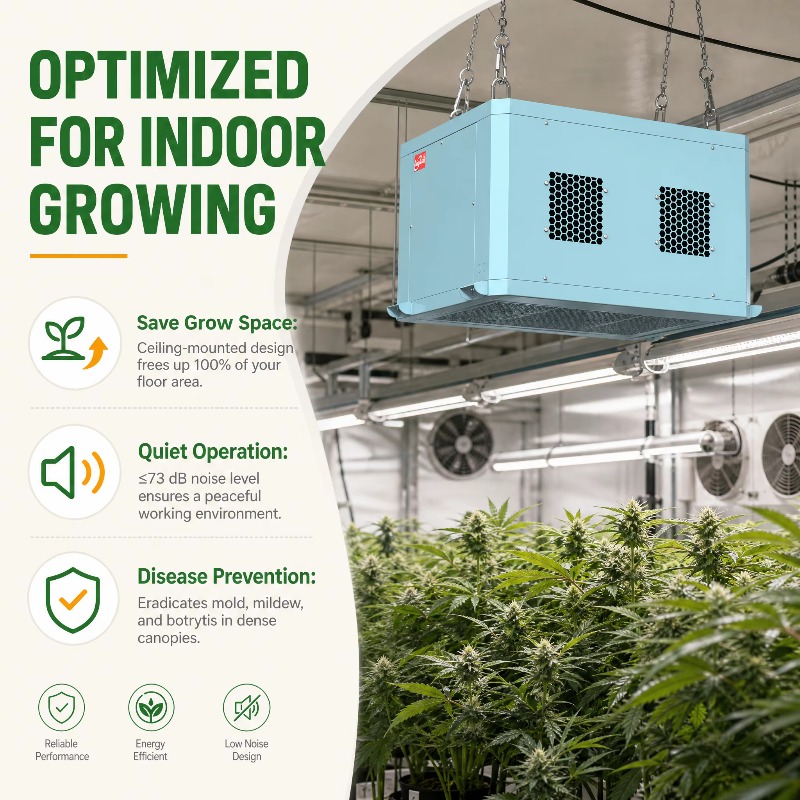 Krachtige, plafondgemonteerde  - Indoor Plants recensie en prijs