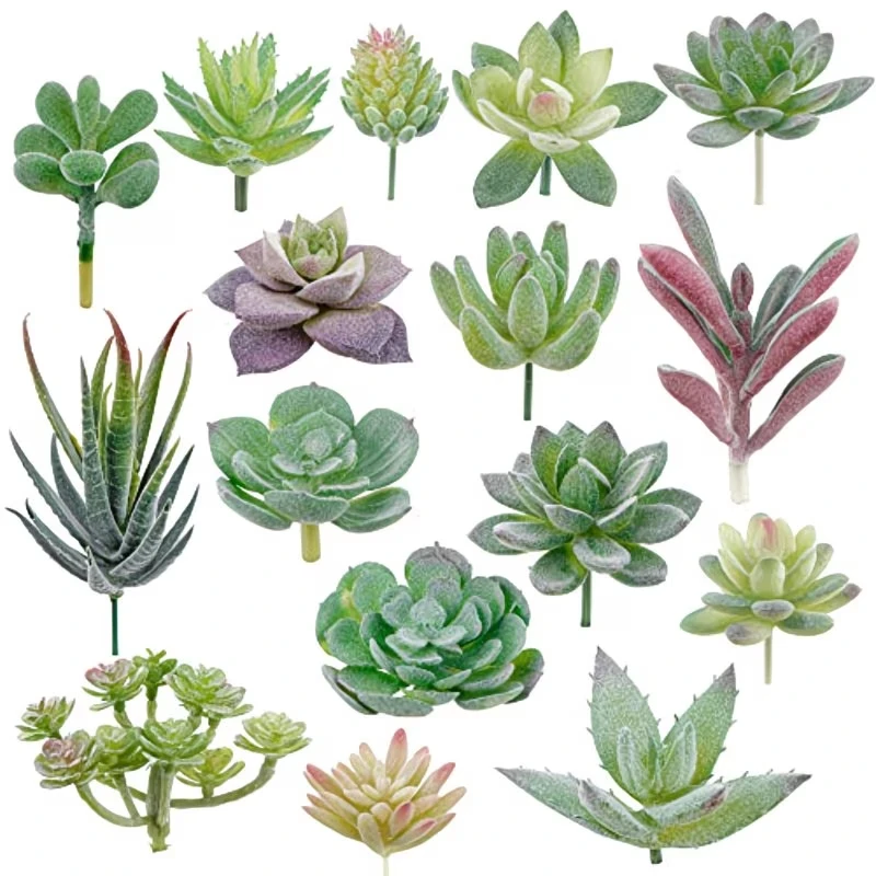 10/20 Stuks PVC Vetplanten Pla - Snake Plant recensie en prijs