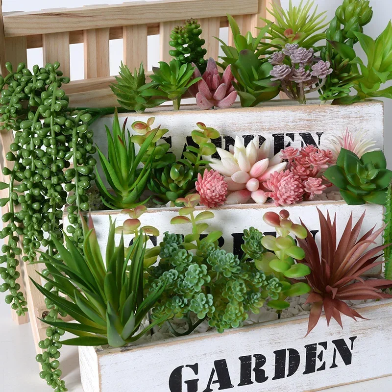 10/20 Stuks PVC Vetplanten Pla - Snake Plant recensie en prijs